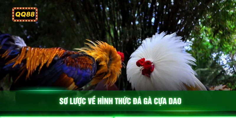 Sơ lược về hình thức đá gà cựa dao