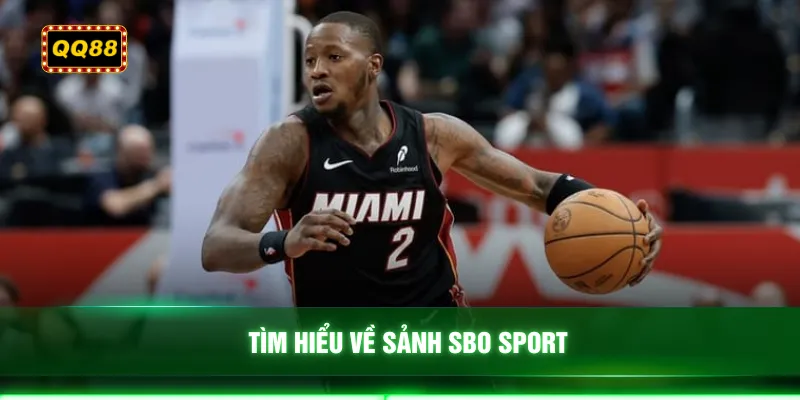 Tìm hiểu về sảnh SBO sport